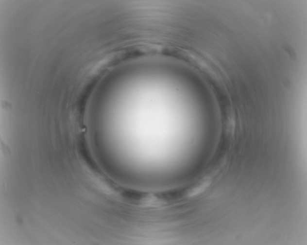 X0000090950616200708021338