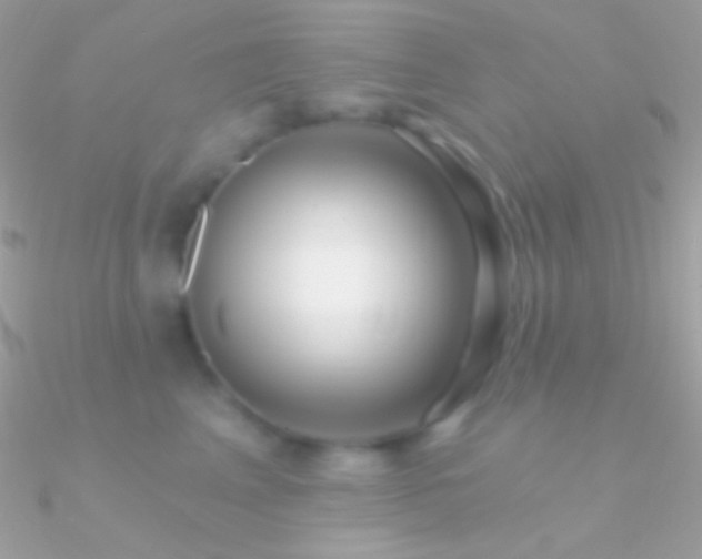 X0000090950617200708021338