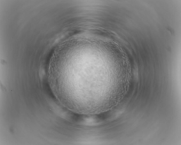 X0000090950618200708021338