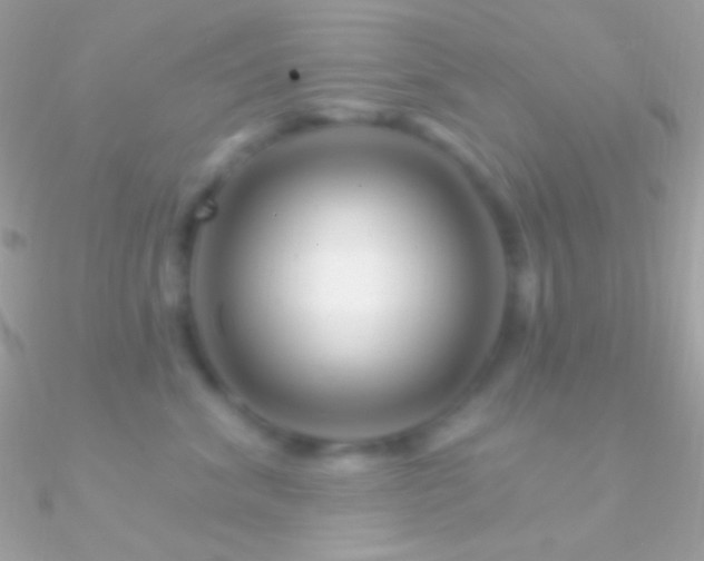 X0000090950620200708021338