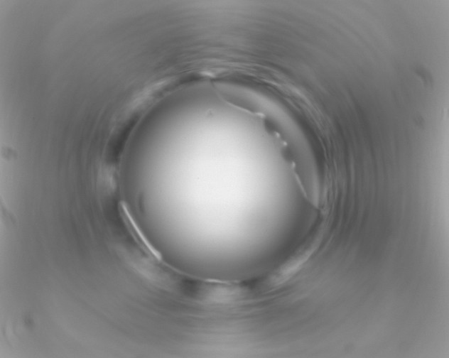 X0000090950621200708021338