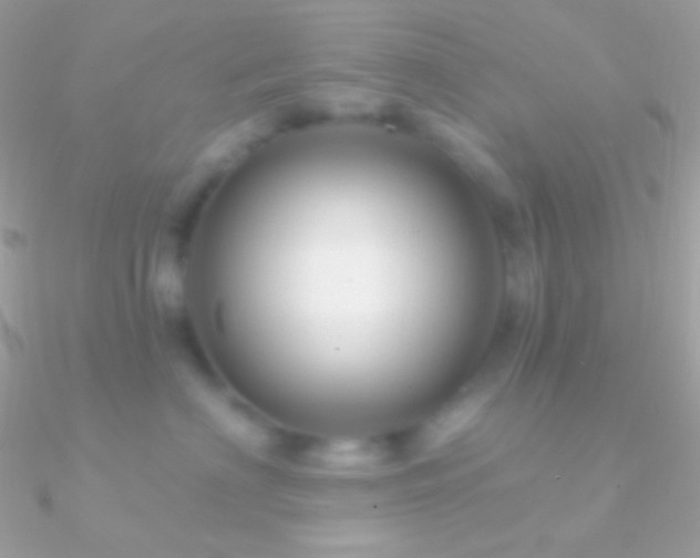 X0000090950622200708021338