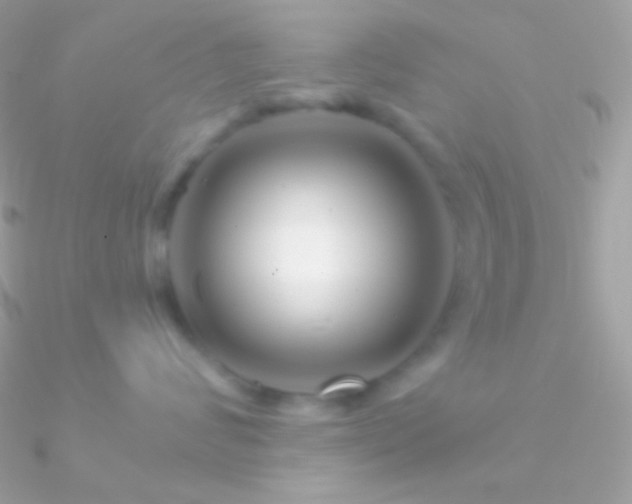 X0000090950624200708021338