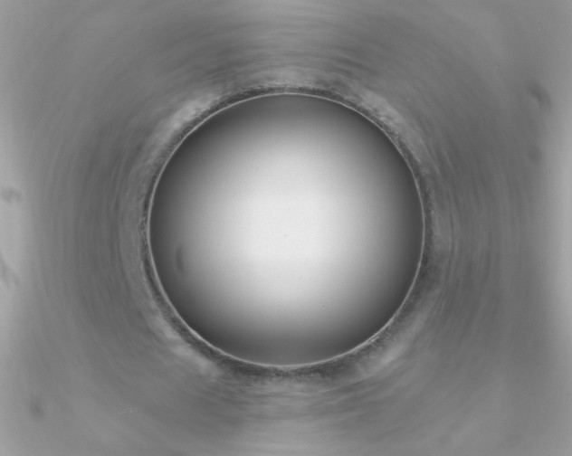 X0000090950625200708021337
