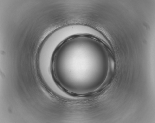 X0000090950626200708021337