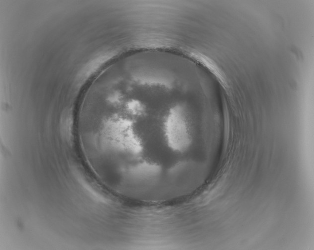 X0000090950627200708021337