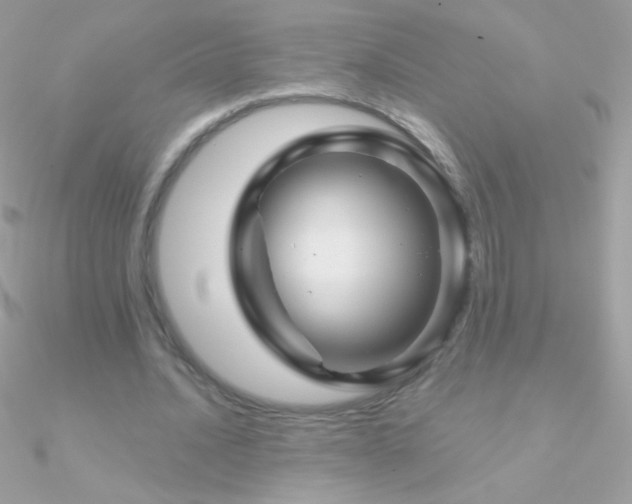 X0000090950628200708021337