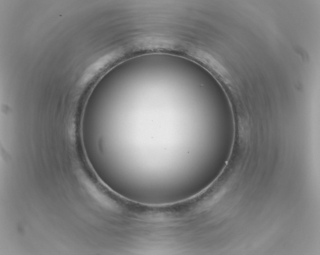X0000090950629200708021337