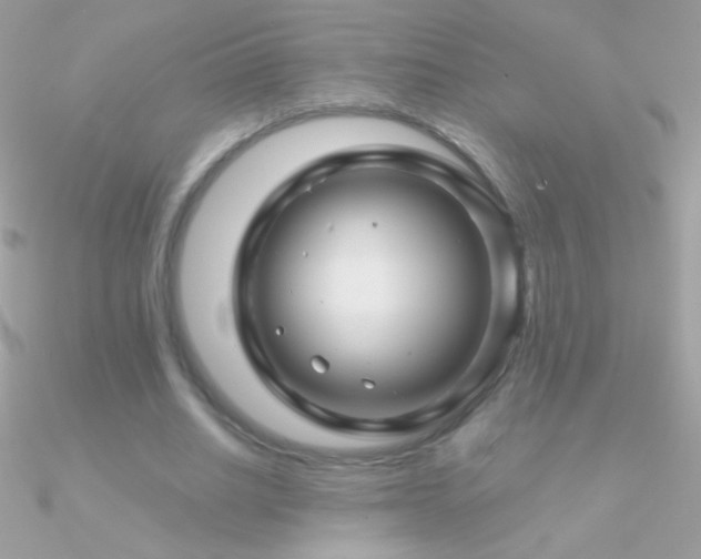 X0000090950630200708021337