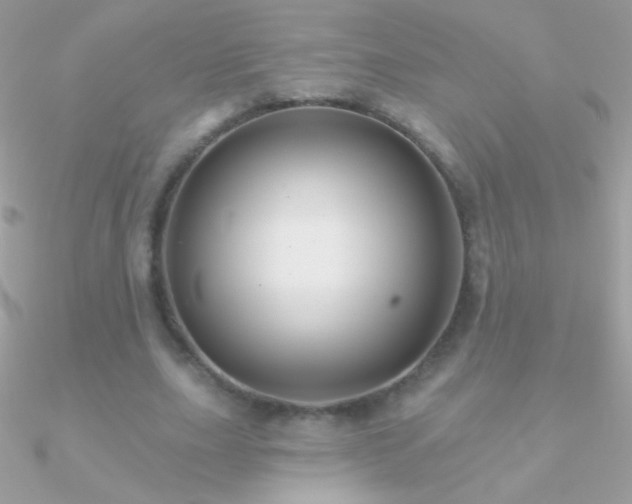 X0000090950631200708021337