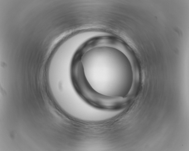 X0000090950632200708021337