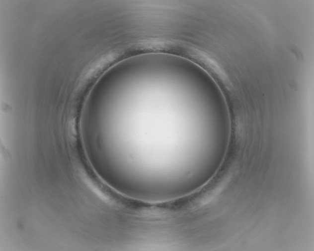 X0000090950633200708021337