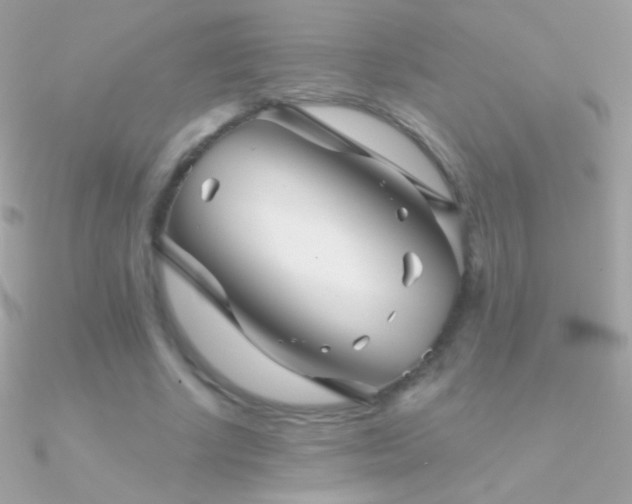 X0000090950634200708021337