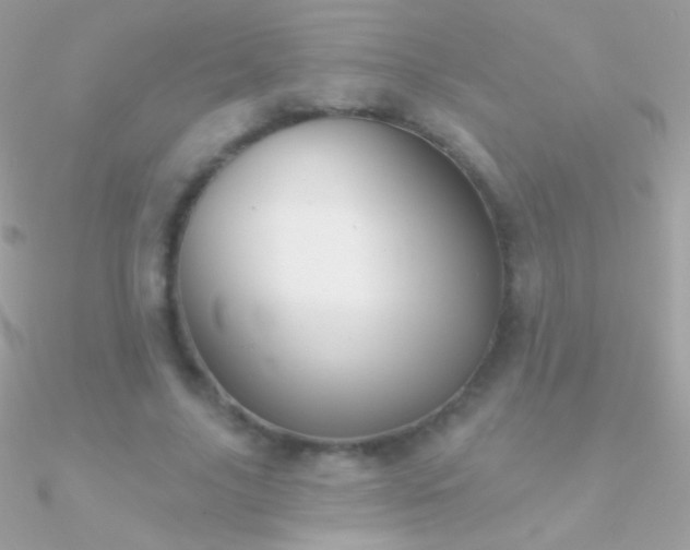 X0000090950635200708021337