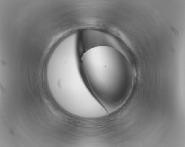 X0000090950636200708021337
