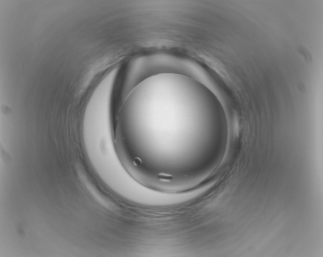 X0000090950638200708021337