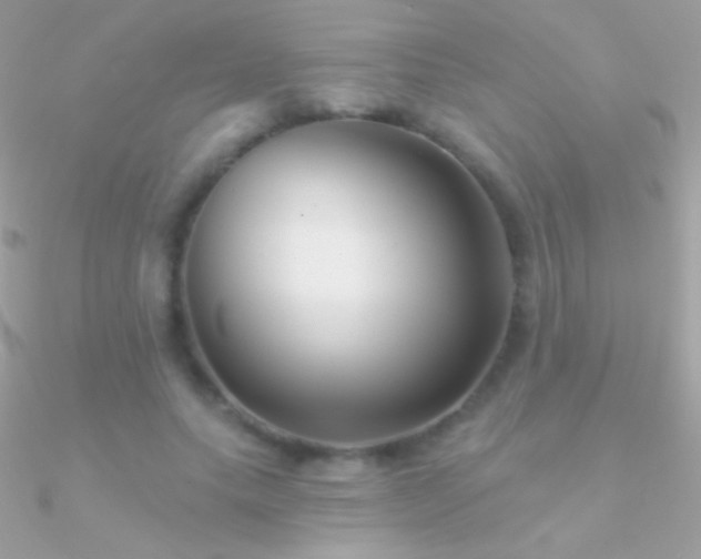 X0000090950639200708021337