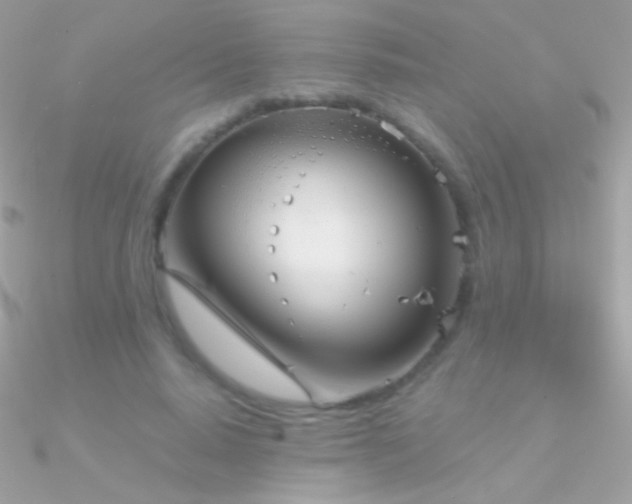 X0000090950640200708021337