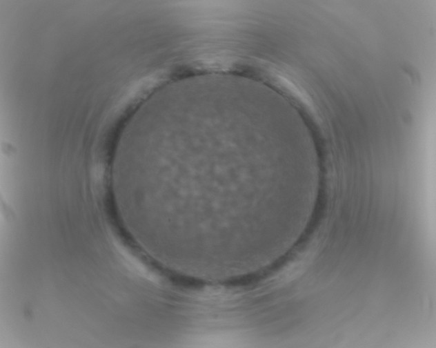X0000090950641200708021337