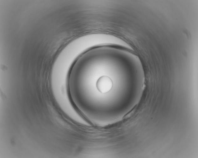 X0000090950642200708021337