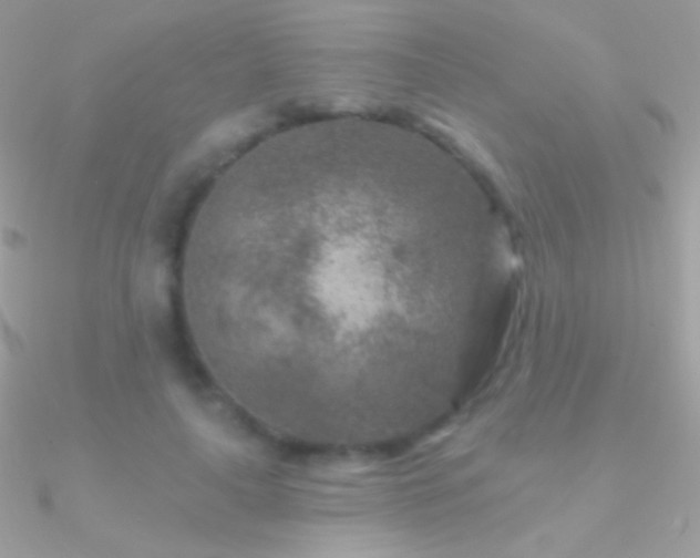 X0000090950643200708021337