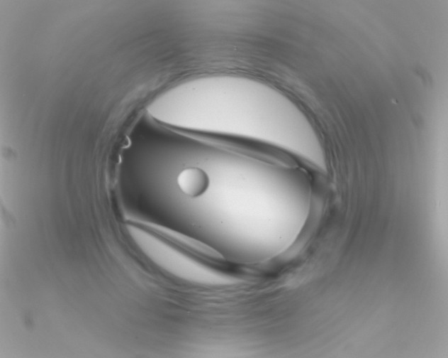 X0000090950644200708021337