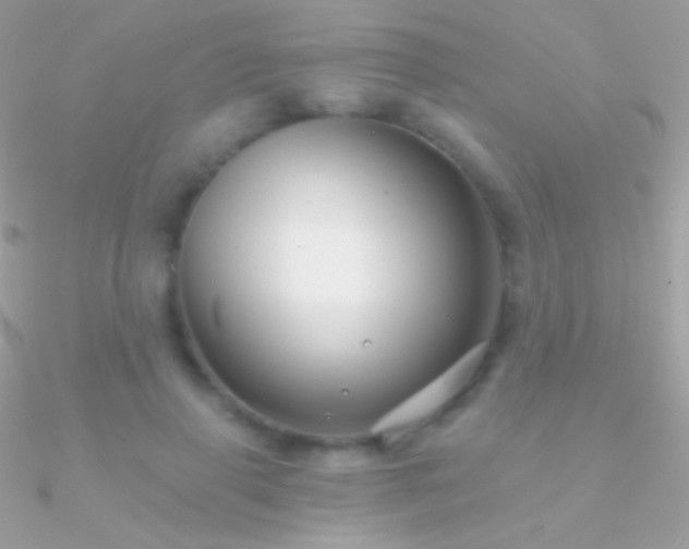 X0000090950645200708021337
