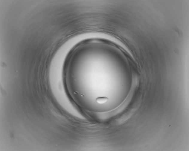 X0000090950646200708021337