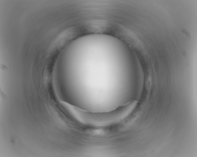X0000090950647200708021337