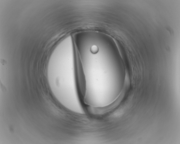 X0000090950648200708021337