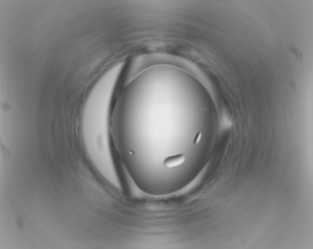 X0000090950650200708021337