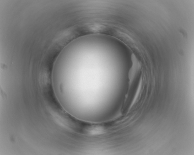 X0000090950651200708021337