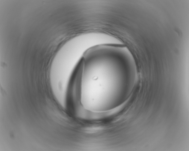 X0000090950652200708021337