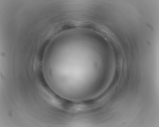 X0000090950653200708021337
