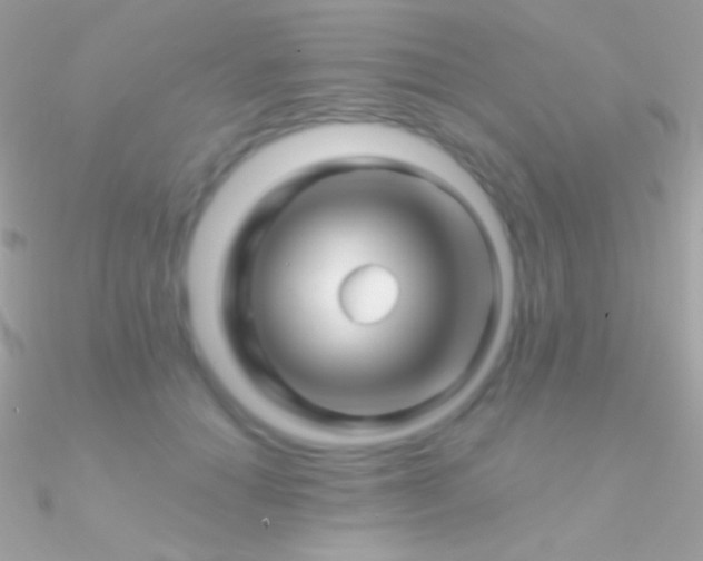 X0000090950654200708021337