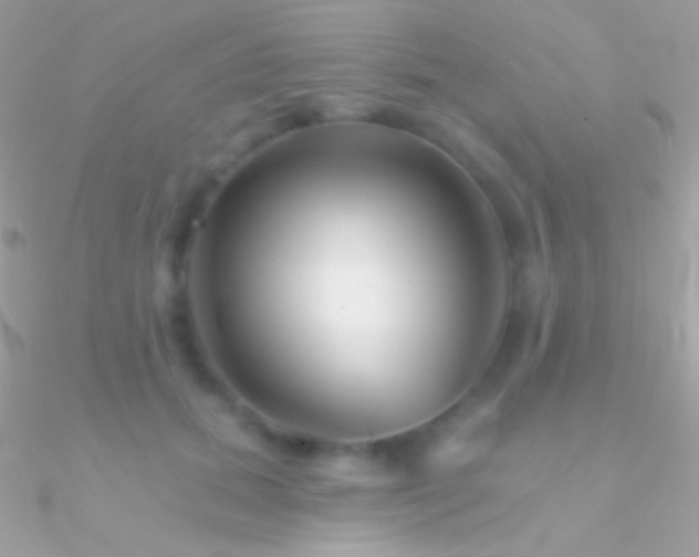 X0000090950655200708021337