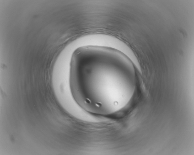 X0000090950656200708021337
