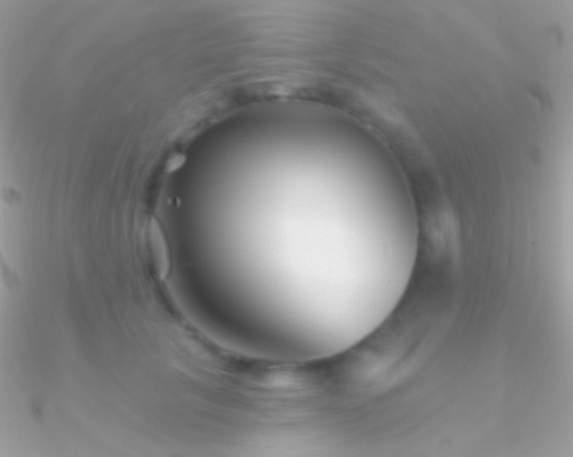 X0000090950657200708021337