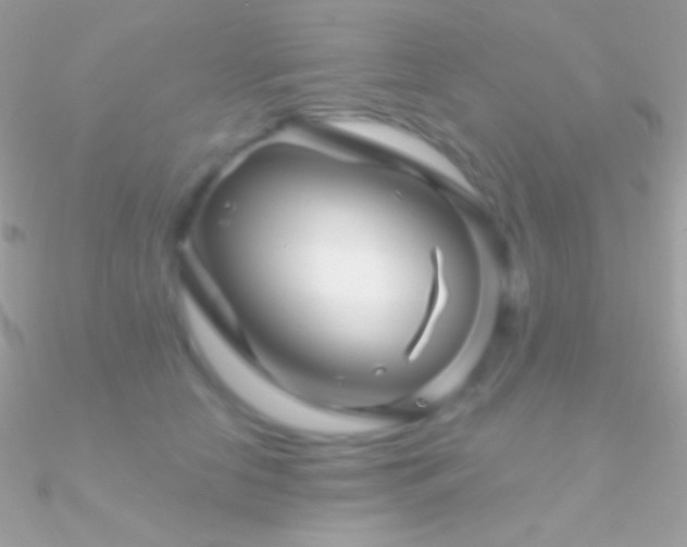 X0000090950658200708021337