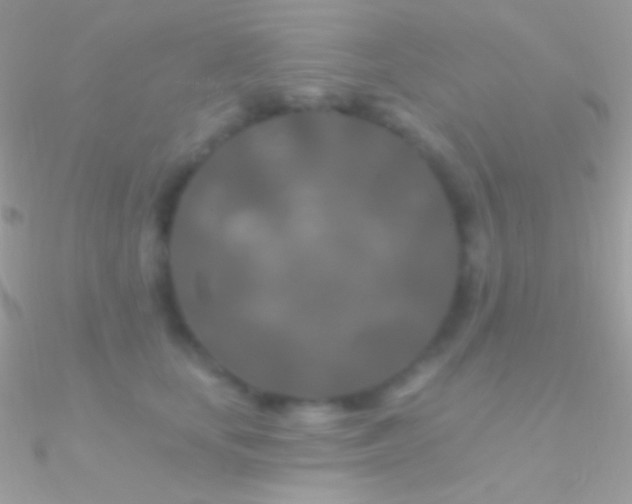 X0000090950659200708021337