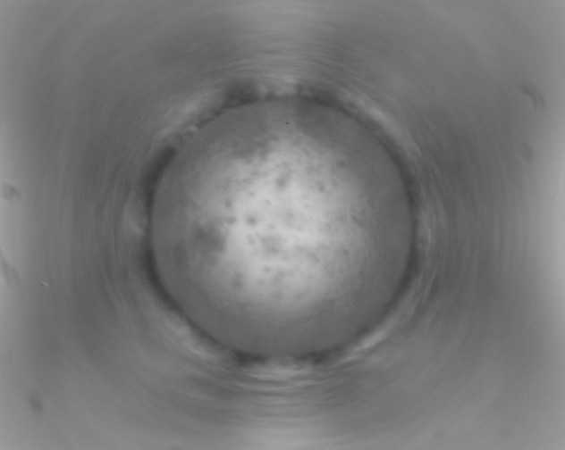 X0000090950661200708021337