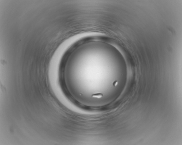 X0000090950662200708021337