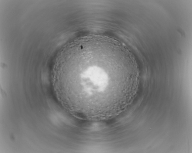 X0000090950663200708021337
