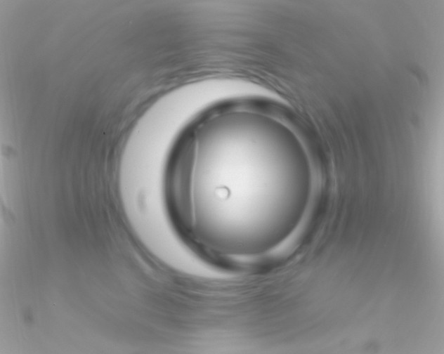 X0000090950664200708021337