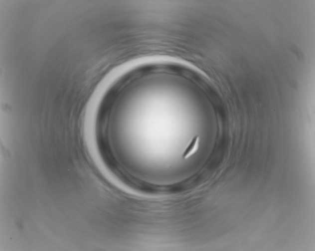 X0000090950666200708021337