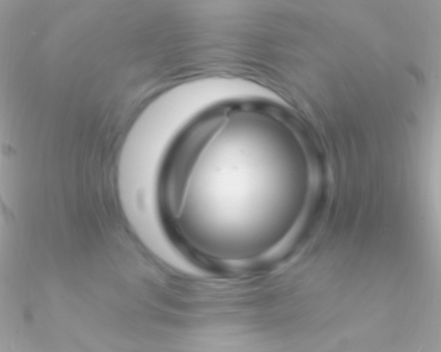 X0000090950668200708021338