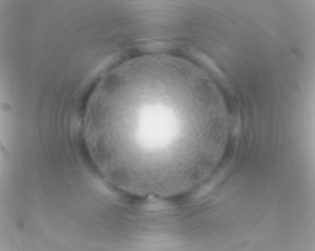 X0000090950669200708021338