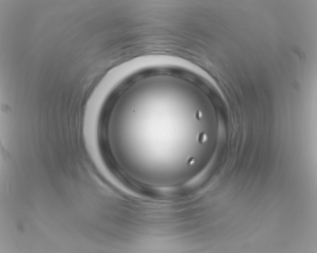 X0000090950670200708021338