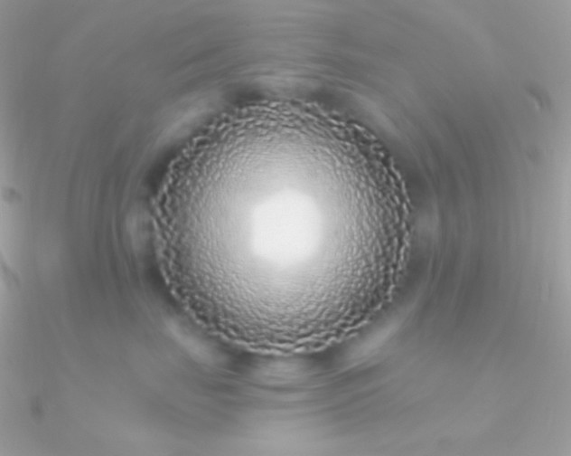 X0000090950671200708021338