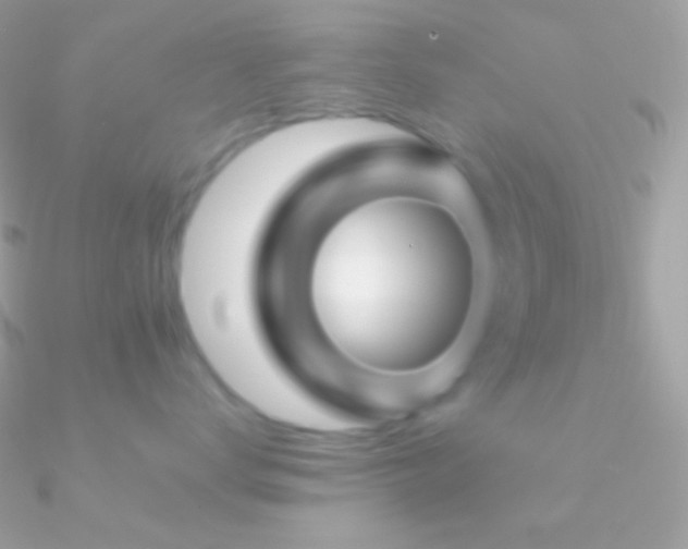 X0000090950672200708021338